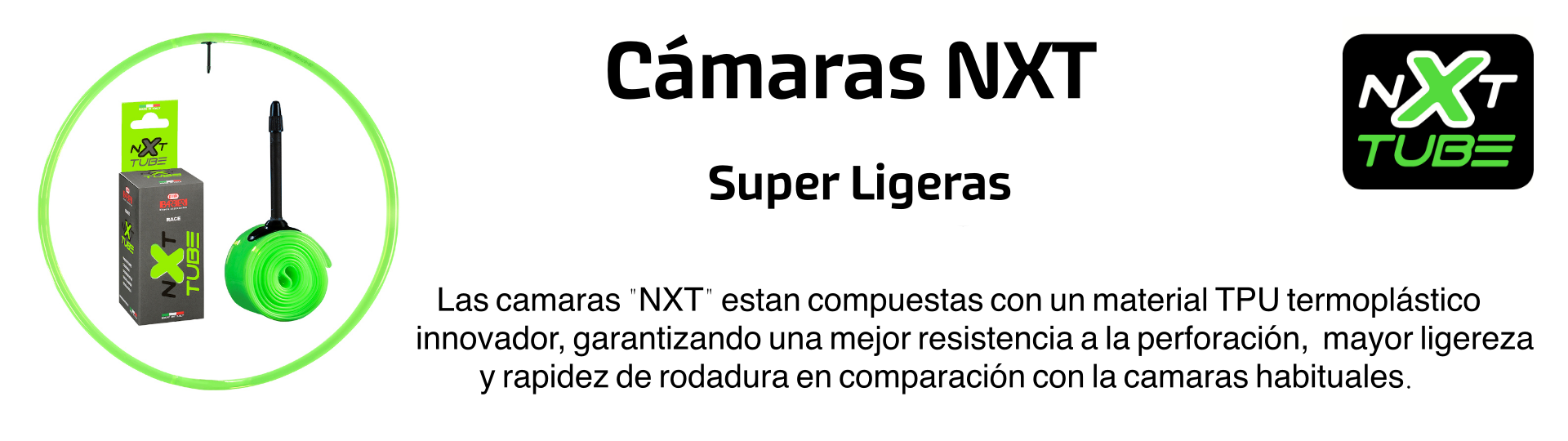 Página 6 del carrusel