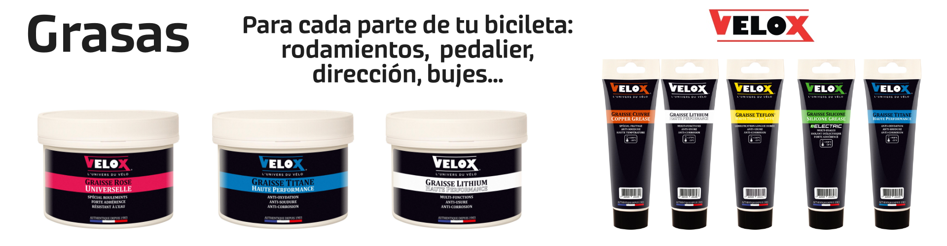 Página 10 del carrusel
